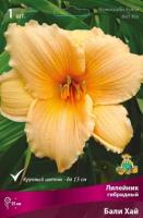 Лилейник гибридный Бали Хай (I) 1шт