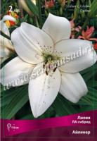 Лилия ЛА-Гибрид Айлинер (12/14) 5 шт 