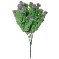 Трава зелен 01724