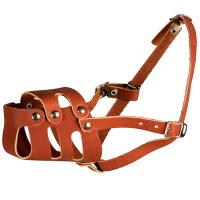 Намордник кожа цельнокроеный Спаниель/04013012/Каскад