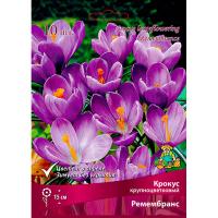 Крокус Крупноцветковый Ремембранс (8/9) 10шт.