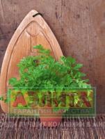 Петрушка листовая Бутербродная