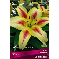 Лилия ОА-Гибрид Санни Краун 14/16