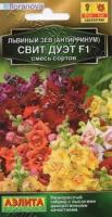 Львиный зев Свит дуэт F1, смесь сортов 7шт 