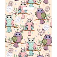 ВУР51691 Пакет 36*43 Совушки 1ШТ с выруб. ручкой ПЭ /50/1000шт/