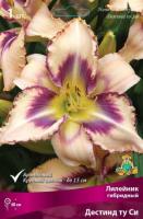 Лилейник гибридный Дестинг ту Си (I) 1 шт