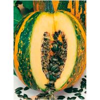 Артикул Тыква Голосемянка 1 г 