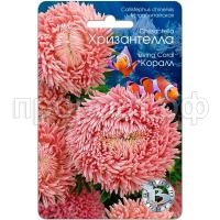 Астра Хризантелла Коралл 30шт Биотехника