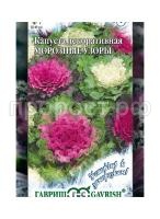 капуста дек. мор