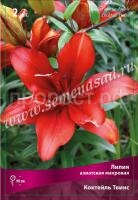 Лилия Азиатская махровая Коктейль Твинс (14-16) 2 шт 320961 Лилия Азиатская махровая Коктейль Твинс (14-16) 2 шт 320961