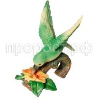 колибри колибри