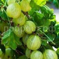 Без названия (1) Без названия (1)