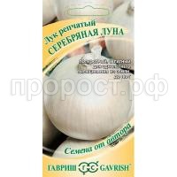 luk-repchatyy-serebryanaya-luna-gavrish_1