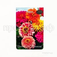 Цинния Вернисаж смесь 201 Каприс Цинния Вернисаж смесь 201 Каприс