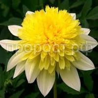 Без названия (1) Без названия (1)