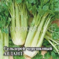 Рисунок46 Рисунок46