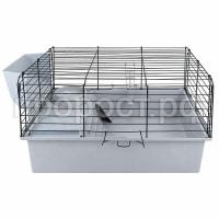 41692sv-ser-chern_2 41692sv-ser-chern_2