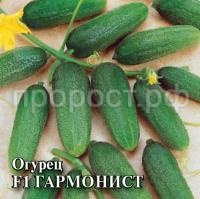Огурец Гармонист F1 250шт Огурец Гармонист F1 250шт