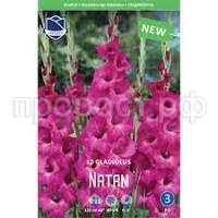 Без названия (1) Без названия (1)