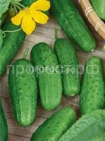Огурец журавленок F1