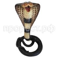 кобра с откр