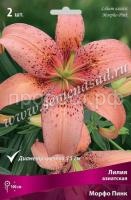 Лилия Азиатская Морфо Пинк (14-16) 2шт 736065 Лилия Азиатская Морфо Пинк (14-16) 2шт 736065