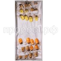 насекомые насекомые