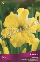 Нарцисс с Расщеплённой коронкой Кассата (3шт, 10-12) 723428 Нарцисс с Расщеплённой коронкой Кассата (3шт, 10-12) 723428