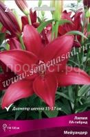 Лилия ЛА-Гибрид Мейуандер (14-16) 2шт 736174 Лилия ЛА-Гибрид Мейуандер (14-16) 2шт 736174