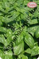 базилик эмили