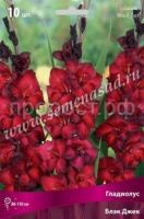 биджи биджи