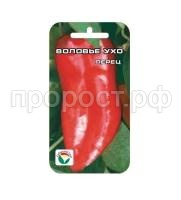 перец воловье ухо