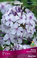 Флокс метельчатый Блу Айс